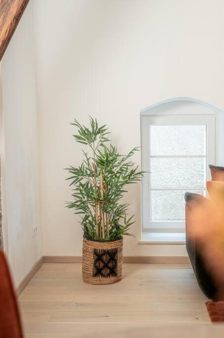 Gemuetliche Oase Im Denkmal Apartment Bonnigheim Exterior foto